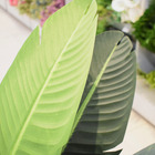 Árvore Bananeira Toque Real Com 2 Troncos 170cm | Formosinha